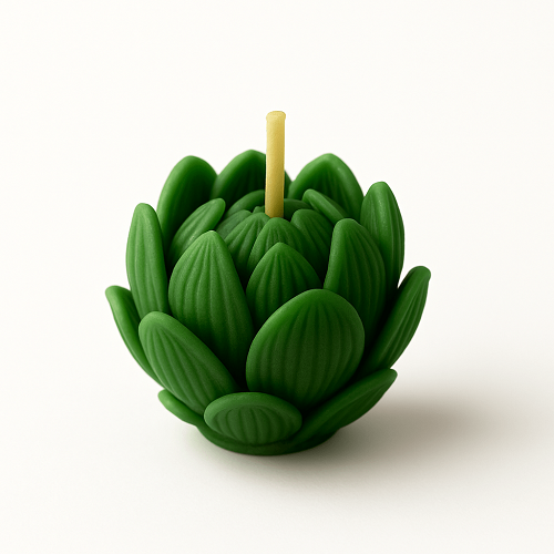 Elevate Your Ambience with the Perfect Aroma Fragrance Candle