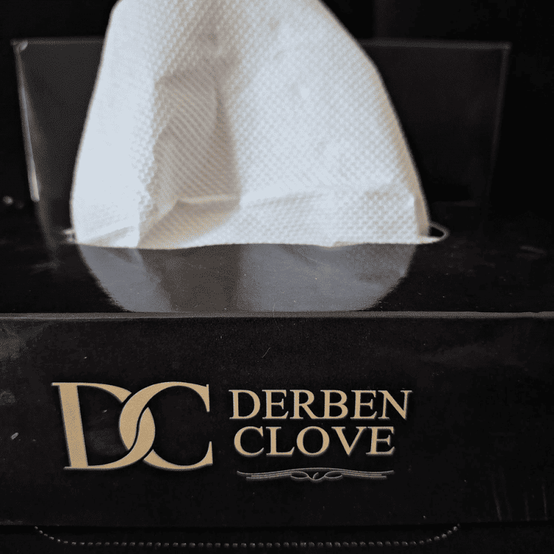 Derben Clove 2 Ply Hand Tissue Box of 100 Sheets - Set of 4