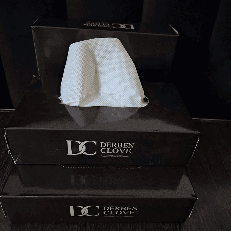 Derben Clove 2 Ply Hand Tissue Box of 100 Sheets - Set of 6